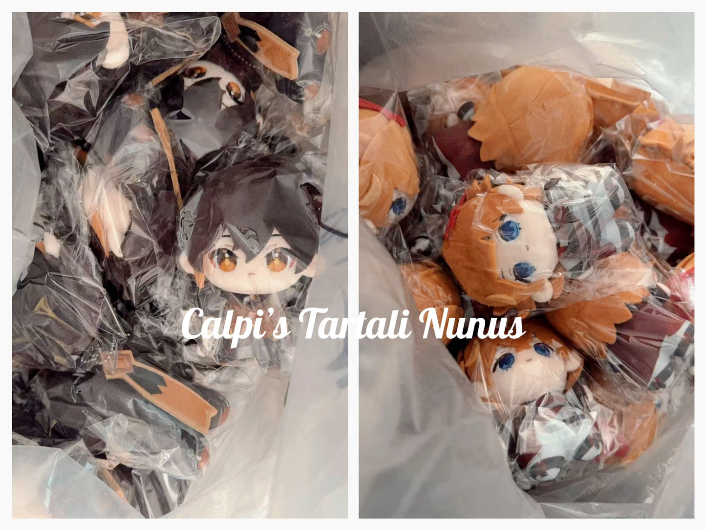 [Reservation]Tartali Plushies 10cm Nunus